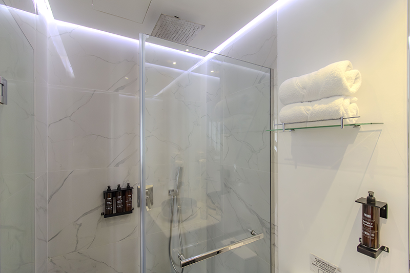 ambassador-suite-room-shower-2