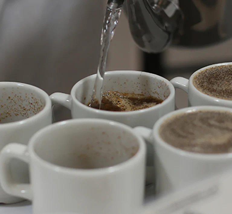 aromas-coffee-2