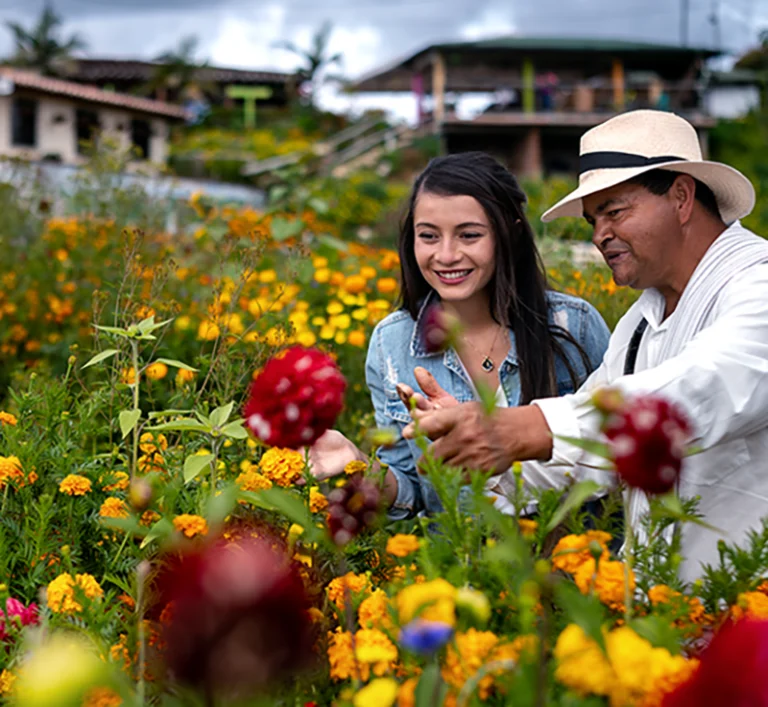 silleteras-farms-1