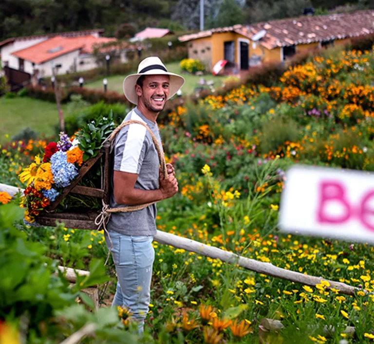 silleteras-farms-2